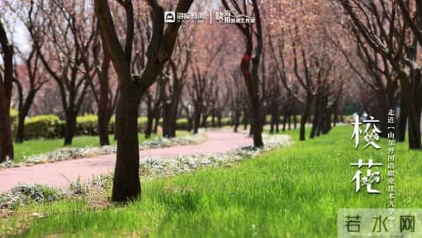 校园春色 班花校花来了 -  ②沉醉于“山外”春色，忘我于芬芳之间