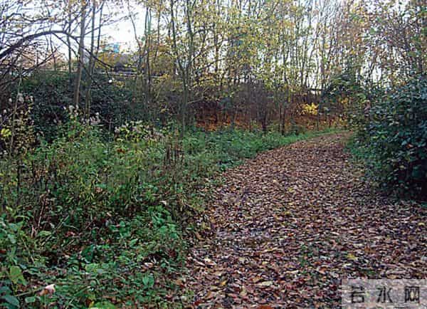 踩点两年,突破世界最安全金库,偷窃一亿美元钻石,他为何会被抓