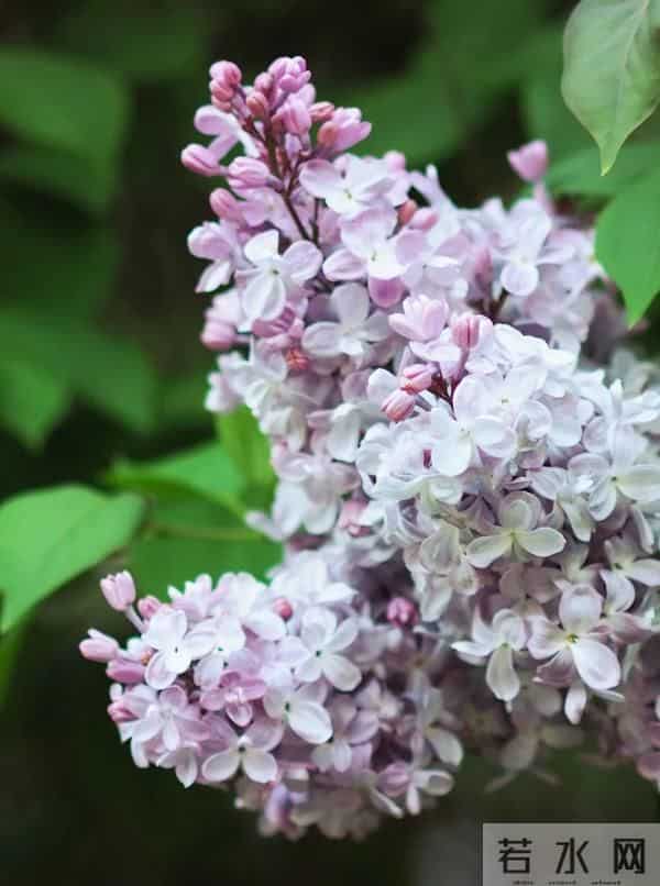 哈工大发光通知书