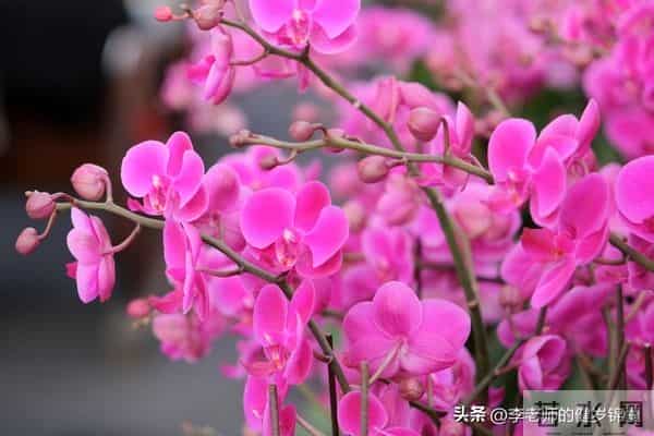 15条养生心诀：内外兼修护元气，日日安康越活越年轻