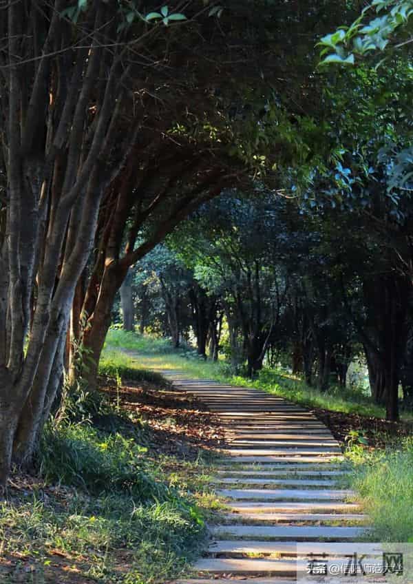 专八考试时间2024年上半年