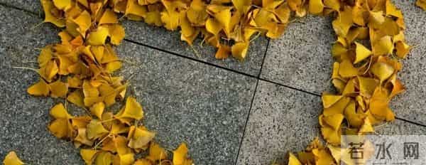 四六级成绩倒计时