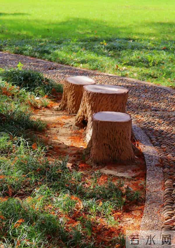 专八考试时间2024年上半年