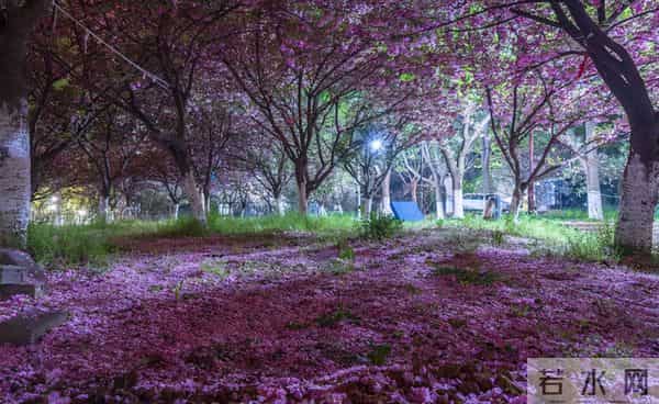 2011计划高考最后9天！全国仅14所高校首批入选这项“国家级计划”！