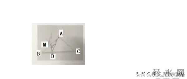 2023全国乙卷对分啦：又新又全的2023年全国高考各科真题及答案（全国乙卷）