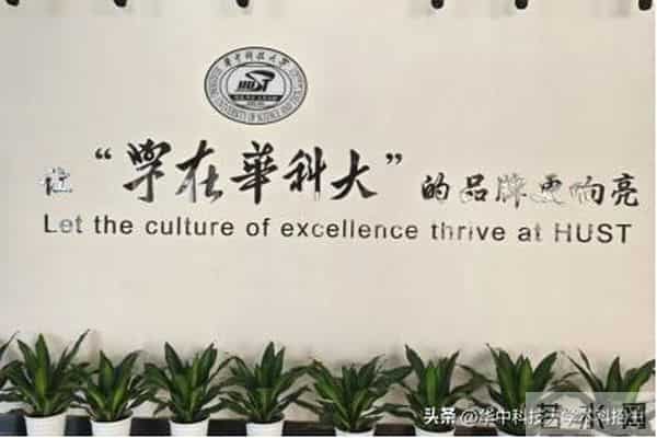 树人大学图书馆@准大一新生:拆开华科大“盲盒”,解锁无限惊喜!