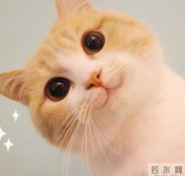 教师资格证缺考会禁考一年吗