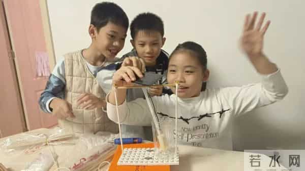 表现校园生活的作品