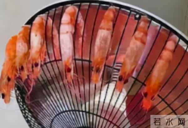 在学校怎样自wei不会被发现