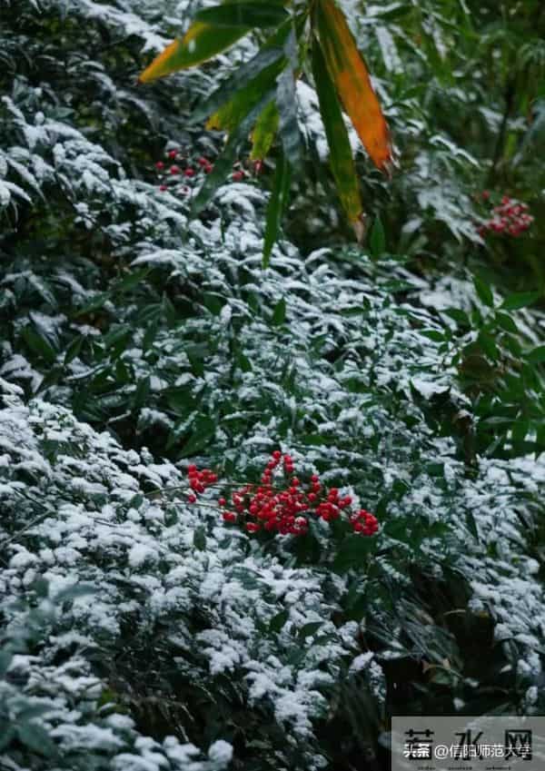 专八考试时间2024年上半年