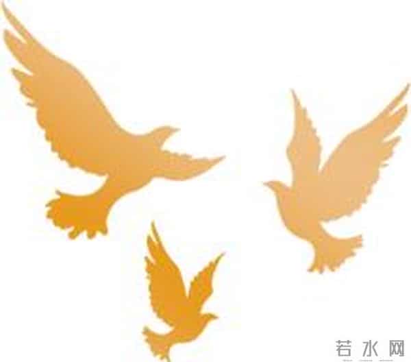 暑期社会实践调查报告