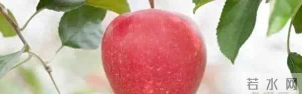 测试:你认为哪一个苹果最甜?测试你最近有什么好事!