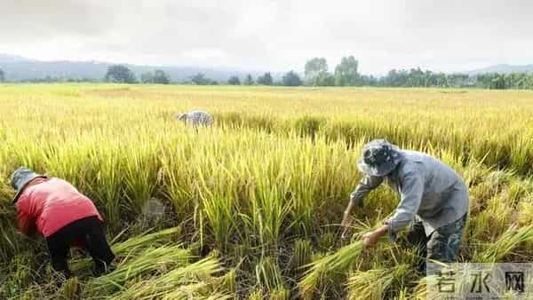 那年我在农村学校代课,因自卑错过了女老师,四年后娶了对的人