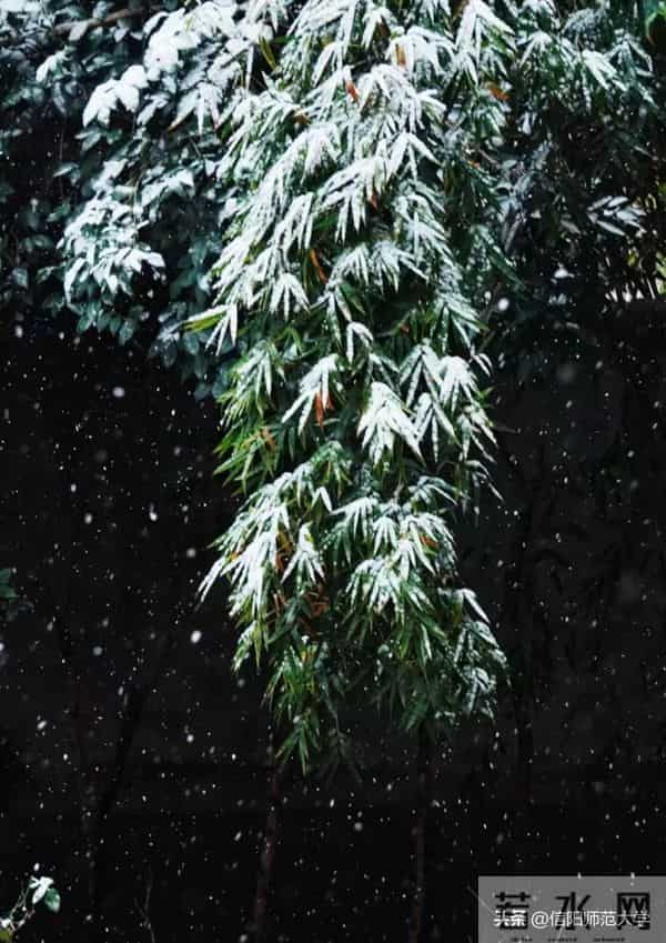 专八考试时间2024年上半年