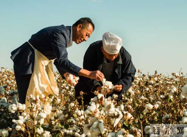 郑强最新演讲打脸了!耐克暴涨2000亿重回巅峰,郑强教授一语点醒众人