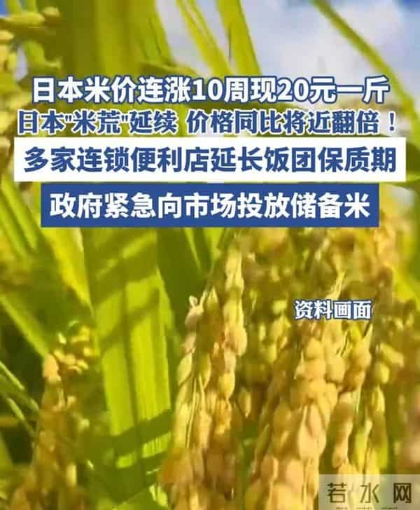 若是日本率先动手，我国火箭军干掉日本仅需30分钟？你相信吗