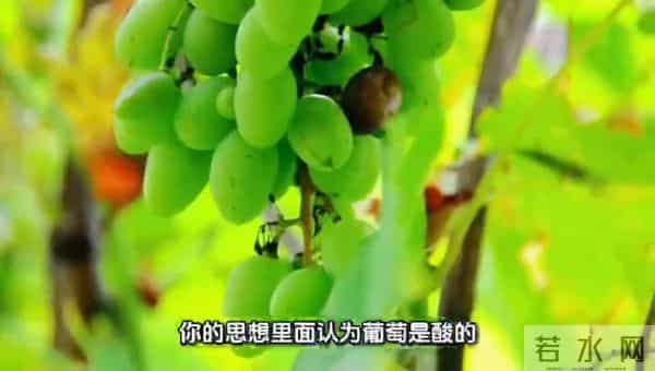 91、心理防御机制