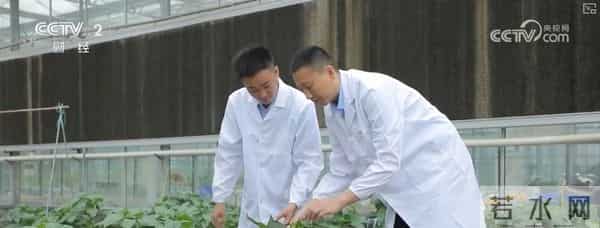 产学研融合高校科研“接地气” 打破学科壁垒为毕业生开拓全新职业蓝海