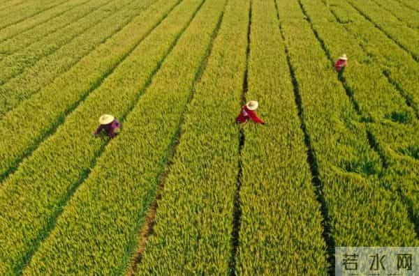 小满不满第二个满是什么意思