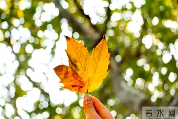 大学英语四级考试技巧