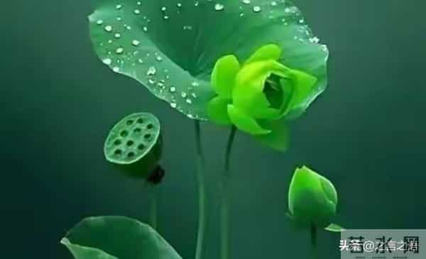 人的情绪来自人所遭遇的事情本身