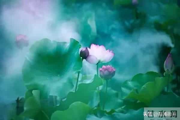 众人都是孤独的那种孤独,不是没人陪,而是没人慬