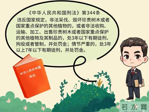 植树节是通过什么形式确定的