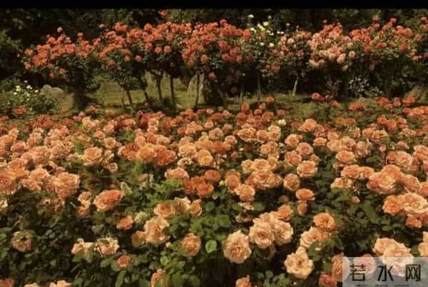 孩子在大学过得好不好,父母不用使劲问,留意这三个信号就知道!