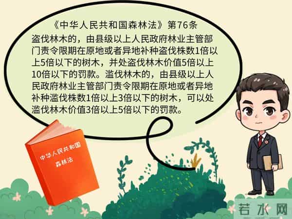 植树节是通过什么形式确定的