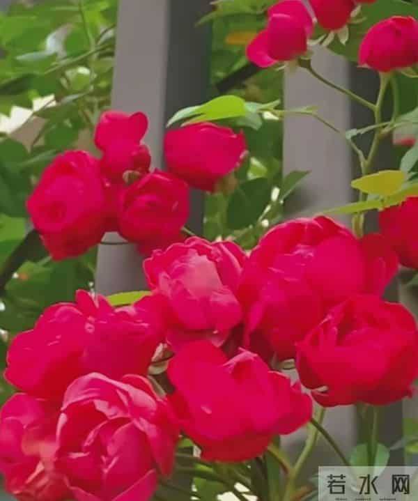 大学时期要做的50件事