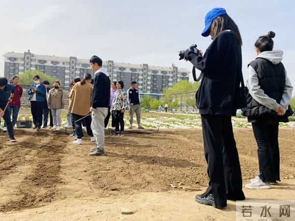 一次高质量实习什么样