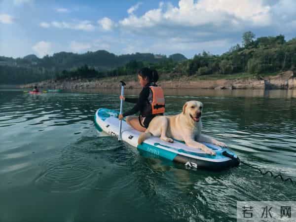 军训拓展活动有哪些项目