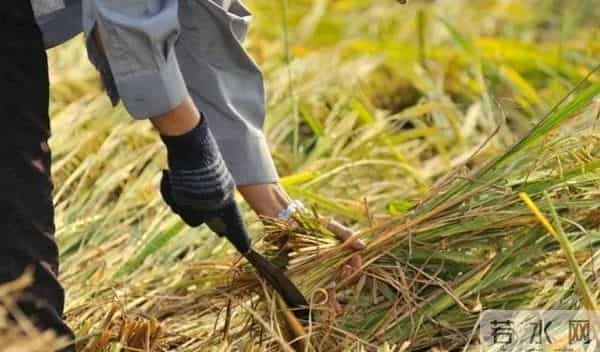 那年我在农村学校代课,因自卑错过了女老师,四年后娶了对的人
