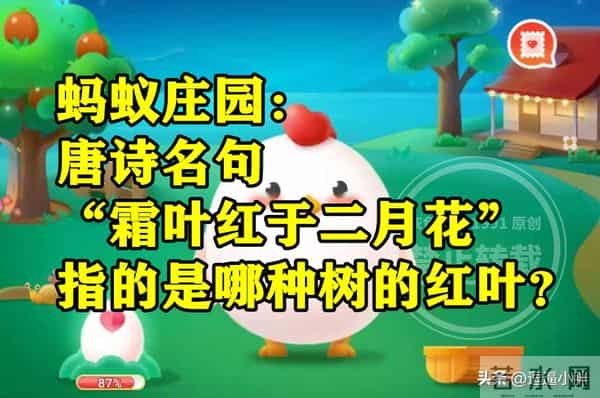 霜叶红于二月花是指什么树