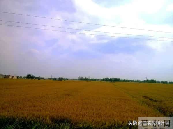 从一个三本学生成为大学老师