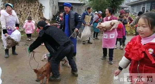 他大学毕业后,去偏远山区支教,月薪880元,他坚守11年,为啥?