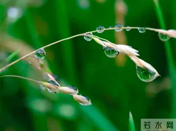 小满不满第二个满是什么意思