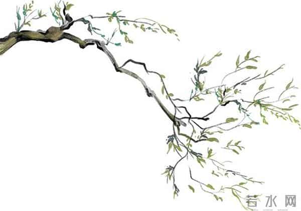 植树节是通过什么形式确定的