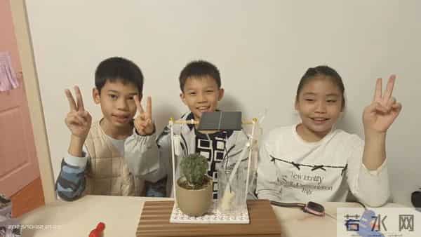 表现校园生活的作品