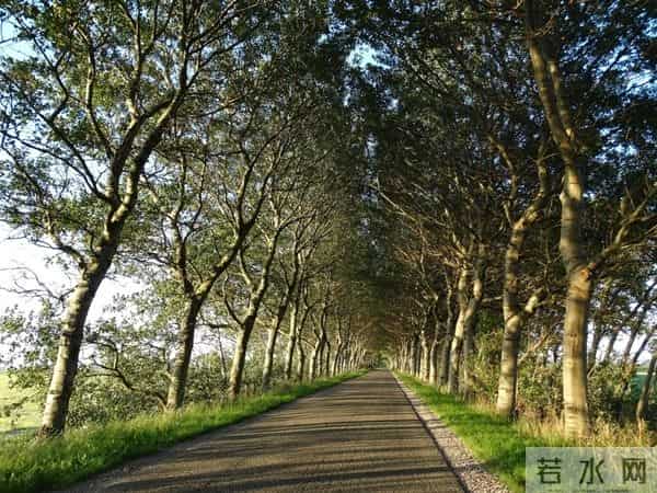 人本主义心理学最顶级的心理学家是如何看待人生的