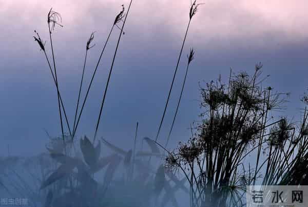 儿童心理学案例「汪教授分享」孩子，假如你有一天得了精神分裂症