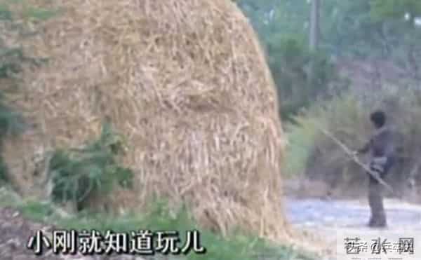 大学生寂寞成灾悲剧！湖北22岁大学生网游成瘾，沉溺网吧10年，归家5天后惨死