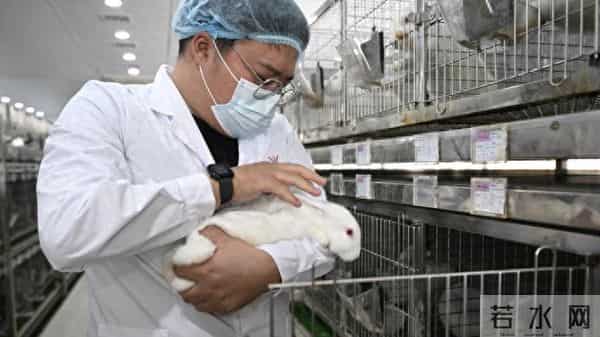 大学生创新实验项目