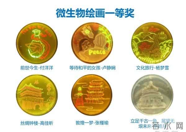 某大学生写的试卷