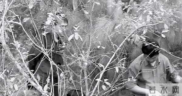 心理学：畸形的恋母情结到底有多可怕？看完这个案例你就明白了