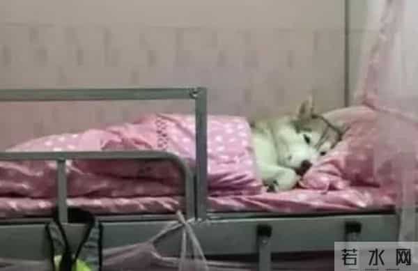 在学校怎样自wei不会被发现