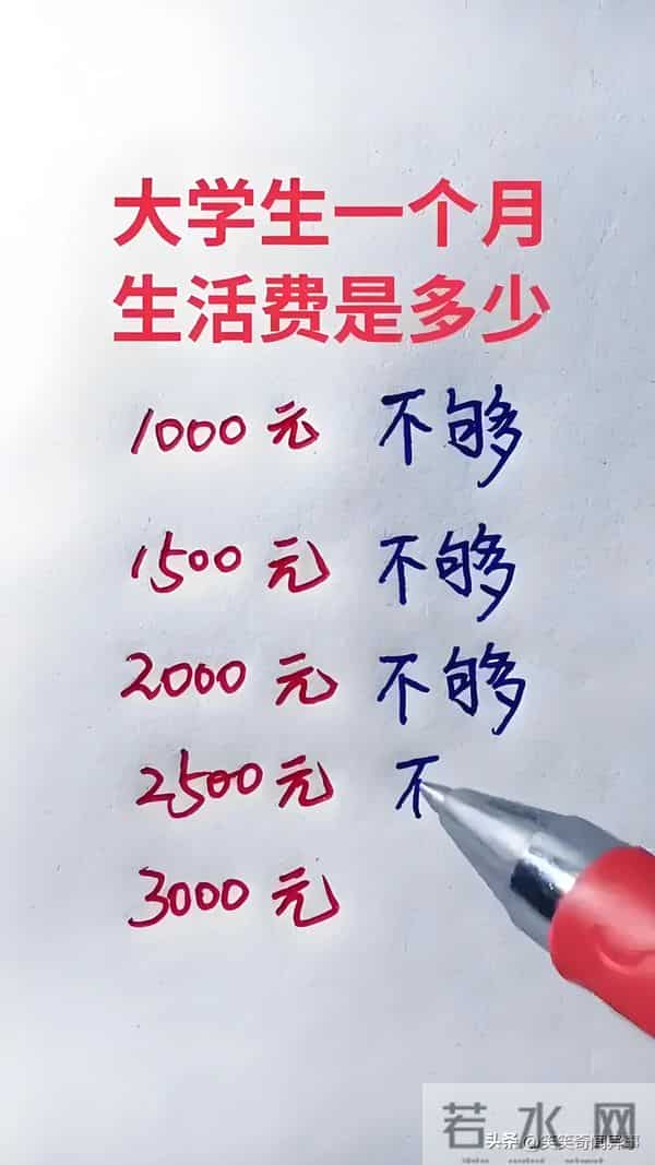 大学生生活质量指北网站