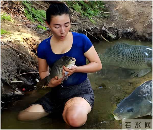太阳影子定位荒野求生实用知识(科普知识)