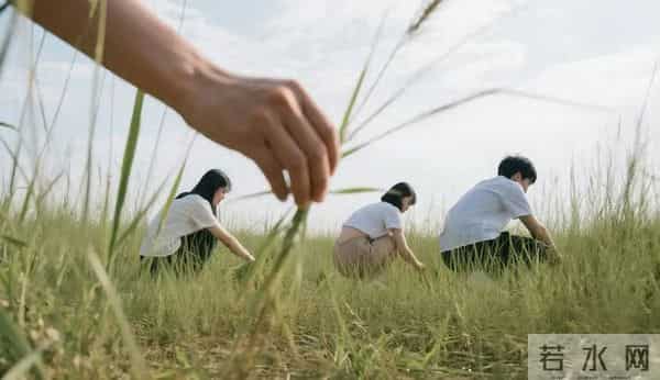 大学校园生活八九十年代的大学校园,没有电脑、手机,课余生活却让人难以忘怀