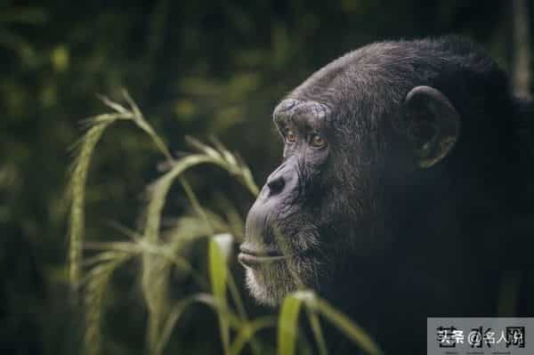 大学生应该读的书比尔盖茨:力荐全美大学生都应该读的一本书